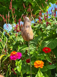 Beeld tulp natuur