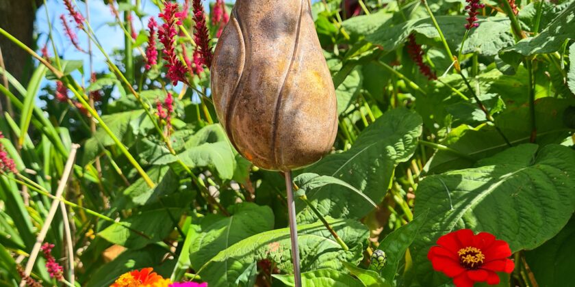 Beeld tulp natuur